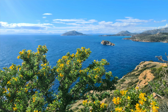 Εκδρομή στο Σούνιο: Πανοραμική θέα στον Σαρωνικό κόλπο